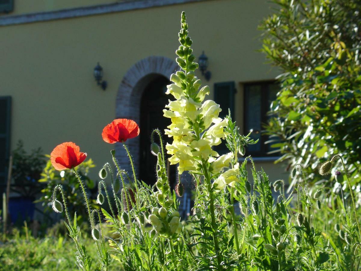 Il Melograno B&B Massignano Exterior photo